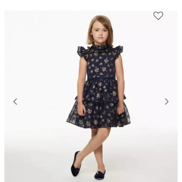 Janie and Jack Girl Dark Marine Glitter Floral Chiffon Dress - Picture 1 of 9